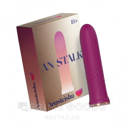 Элегантный миниатюрный вибромассажер AN Stalk от Anasteisha от sex shop primegoods фото 2