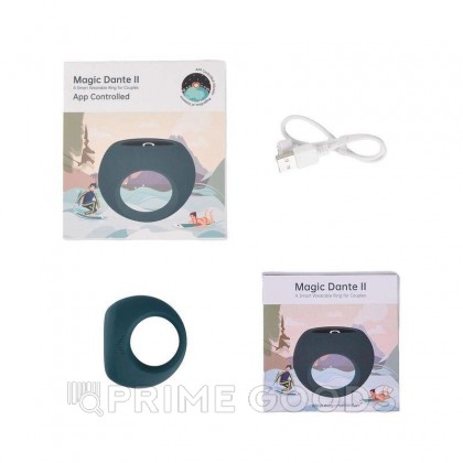 Эрекционное кольцо MAGIC MOTION DANTE II от sex shop primegoods фото 9