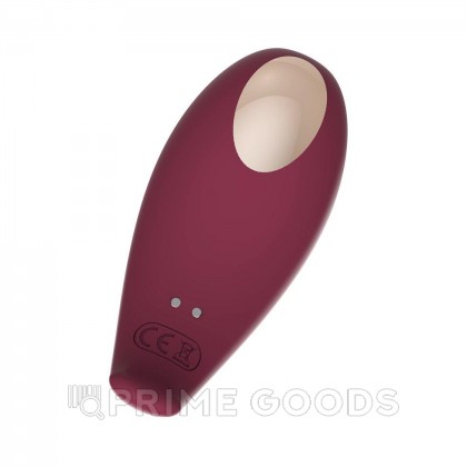 Клиторальный стимулятор и виброяйцо Inspiration от Adrien Lastic от sex shop primegoods фото 10