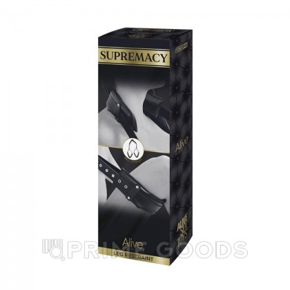 Фиксатор для ног SUPREMACY от Alive черный от sex shop primegoods фото 5