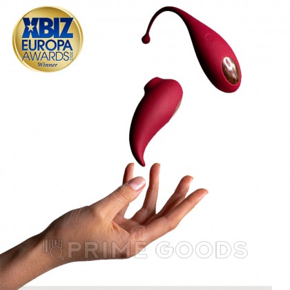 Клиторальный стимулятор и виброяйцо Inspiration от Adrien Lastic от sex shop primegoods фото 2