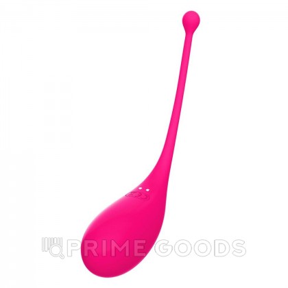 Виброяйцо Palpitation фуксия от Adrien Lastic (синхронизация с приложением) от sex shop primegoods фото 9