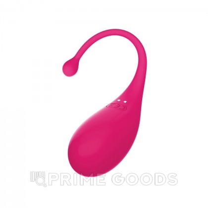Виброяйцо Palpitation фуксия от Adrien Lastic (синхронизация с приложением) от sex shop primegoods фото 10