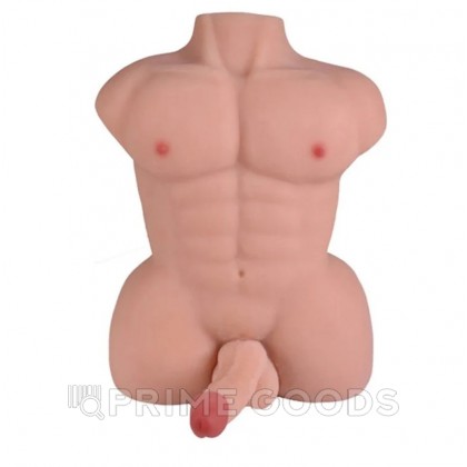 Мужской торс с фаллоимитатором (6 кг.) от sex shop primegoods