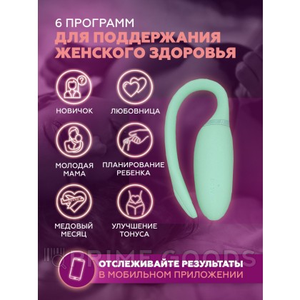 Тренажер Кегеля Magic Motion Kegel Rejuve от sex shop primegoods фото 3