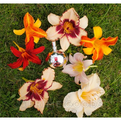 Спрей очищающий Gvibe Gjuice Toy Cleaner, антибактериальный, 60 мл от sex shop primegoods фото 5