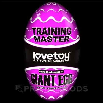 Мастурбатор яйцо Stamina Nodules Purple от sex shop primegoods