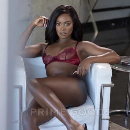 FLESHLIGHT SIGNATURE Мастурбатор Ana Foxxx Silk, вагина от sex shop primegoods фото 4