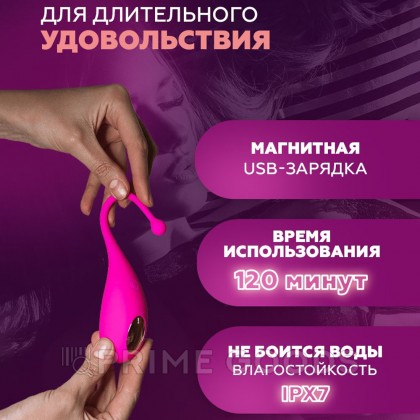 Виброяйцо Palpitation фуксия от Adrien Lastic (синхронизация с приложением) от sex shop primegoods фото 2