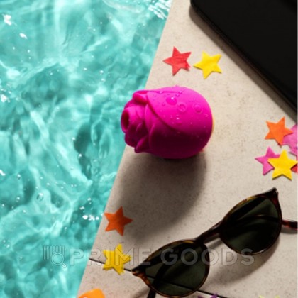 Бесконтактный клиторальный стимулятор Romp Suction Rose от sex shop primegoods фото 2