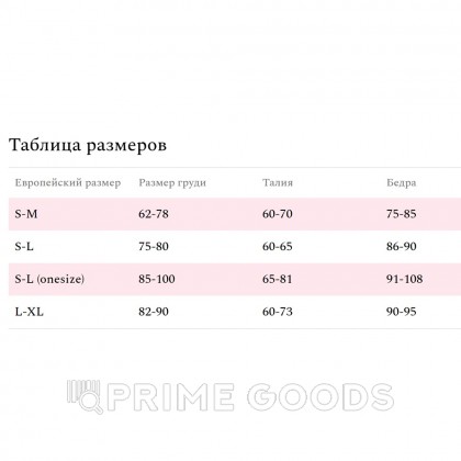 Боди эротический кружевной Amor El Aurea S/M от sex shop primegoods фото 2