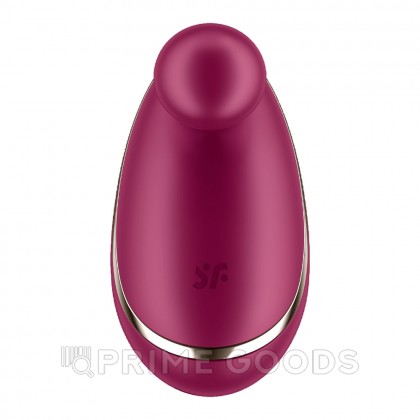 Стимулятор клитора Satisfyer Spot On бордовый от sex shop primegoods фото 8
