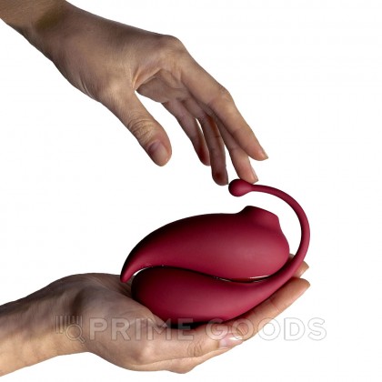 Клиторальный стимулятор и виброяйцо Inspiration от Adrien Lastic от sex shop primegoods фото 4