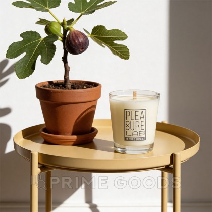 Массажная Cвеча Pleasure Lab Midnight Sun 50 мл от sex shop primegoods фото 6