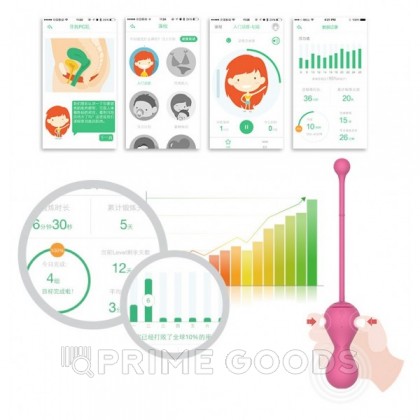 Тренажер Кегеля розовый MAGIC KEGEL MASTER 2 от sex shop primegoods фото 12