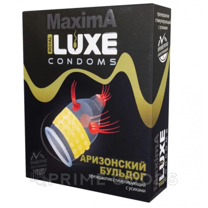 Презерватив Luxe MAXIMA №1 Аризонский бульдог от sex shop primegoods фото 4