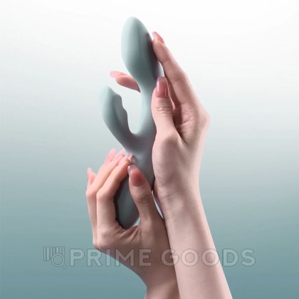 Вибратор-кролик Chika серый от SVAKOM от sex shop primegoods фото 4