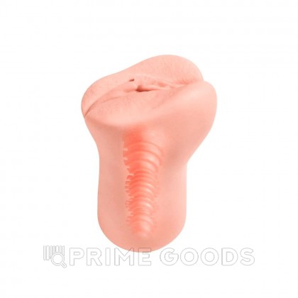 Реалистичный мастурбатор Amelia от Alivet S от sex shop primegoods фото 2