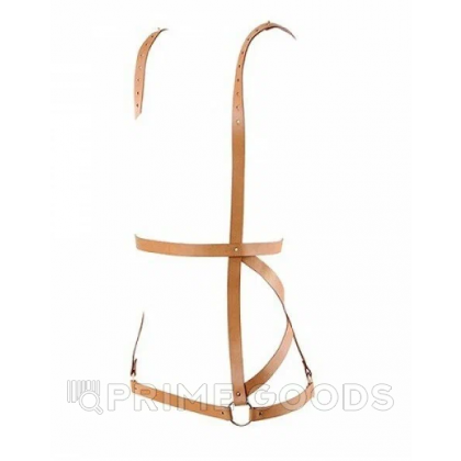 Упряжь MAZE- Arros Dress от Bijoux Indiscrets, коричневый от sex shop primegoods фото 3