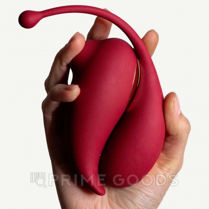 Клиторальный стимулятор и виброяйцо Inspiration от Adrien Lastic от sex shop primegoods фото 11