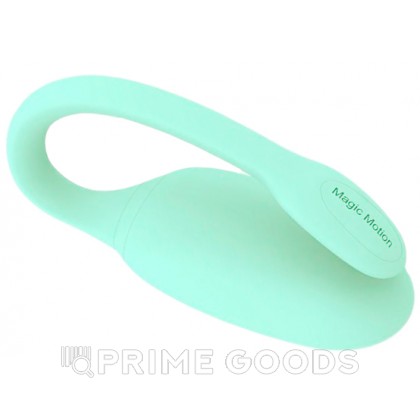 Тренажер Кегеля Magic Motion Kegel Rejuve от sex shop primegoods