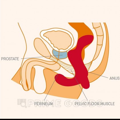 Массажер простаты DUKE черный от Fun factory от sex shop primegoods фото 7