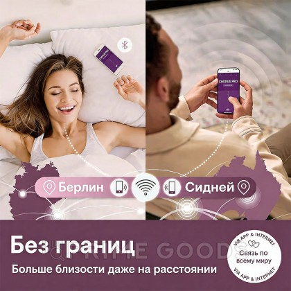 Вибратор для пар We-Vibe Chorus Pro, черный от sex shop primegoods фото 7
