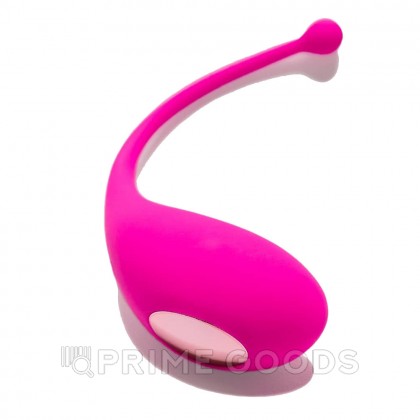Виброяйцо Palpitation фуксия от Adrien Lastic (синхронизация с приложением) от sex shop primegoods фото 4