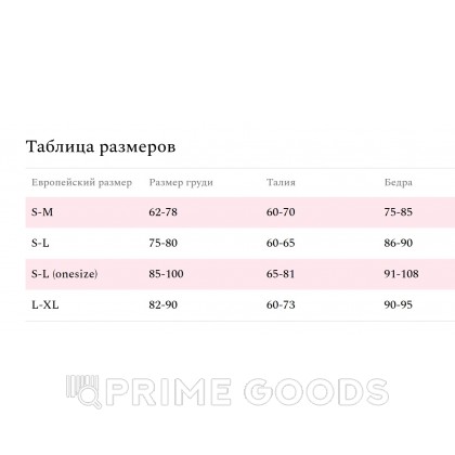 Боди эротический кружевной Amor El Siero S/M от sex shop primegoods фото 4